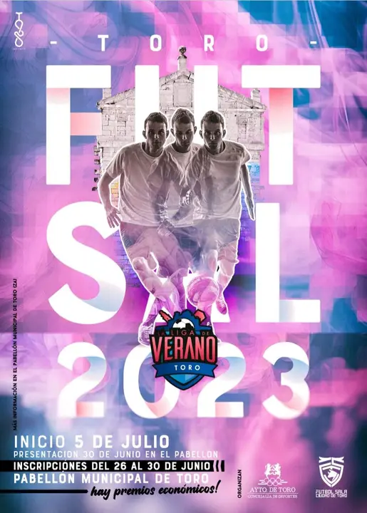 Liga de Verano