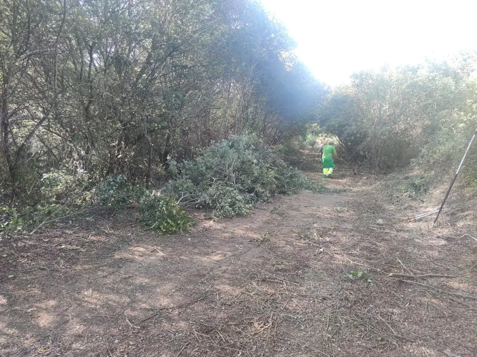 Operario en Palazuelo vía Comarca de Aliste