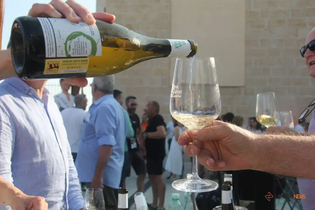 Presentación Ruta del Vino mirador Ramos Carrión_14
