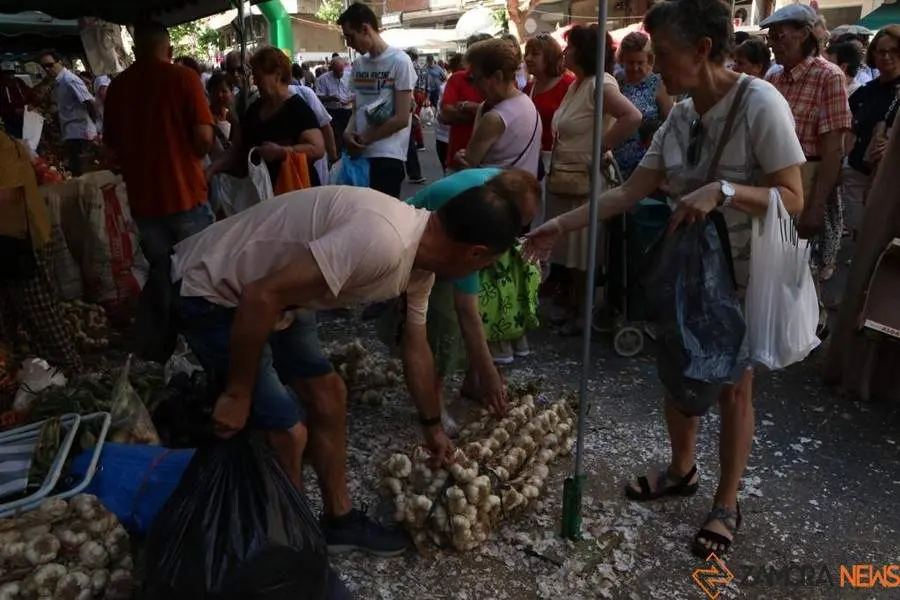 Feria del Ajo 2023_7