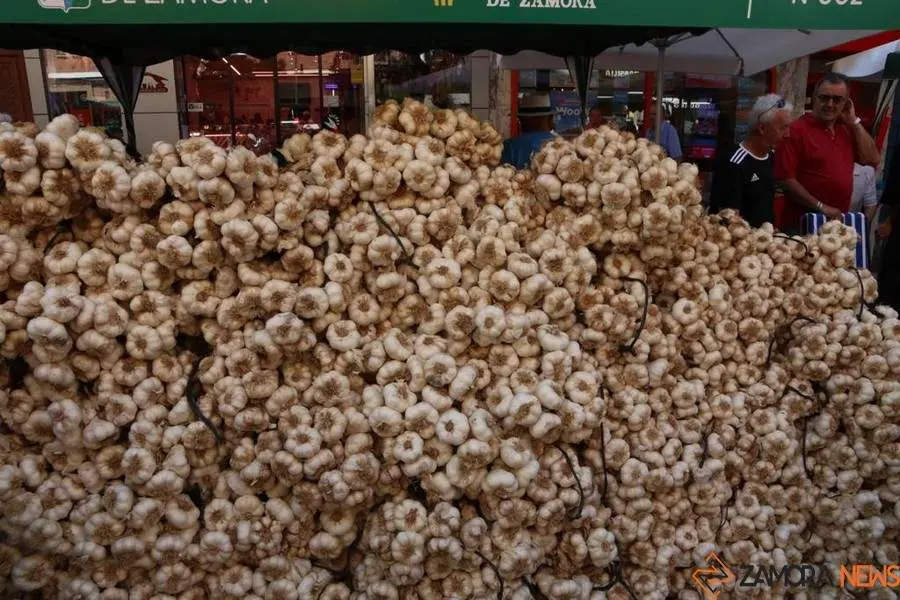Feria del Ajo 2023_5