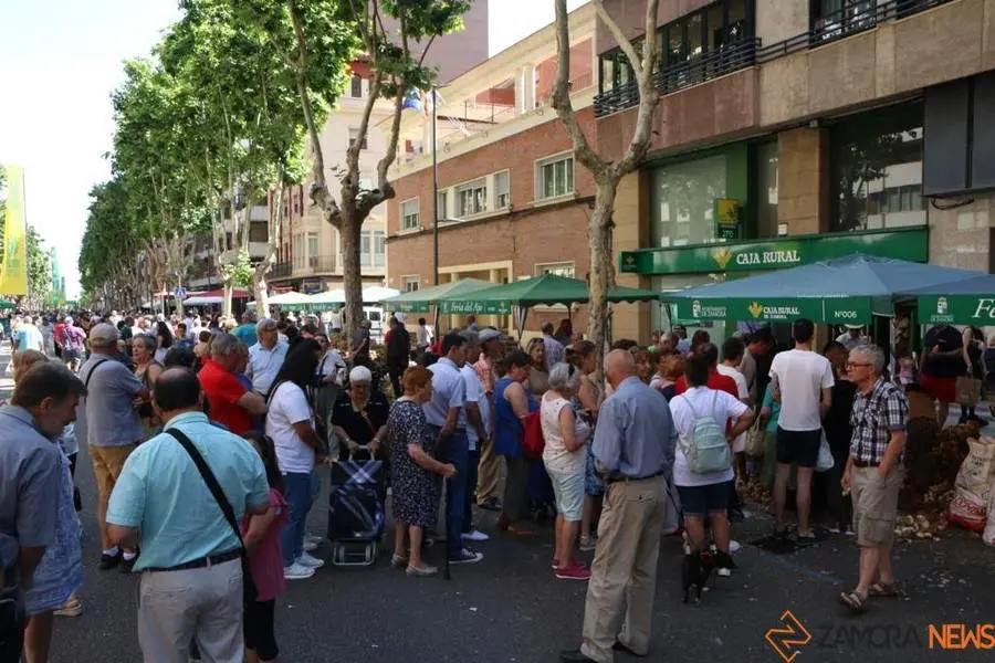 Feria del Ajo 2023_6