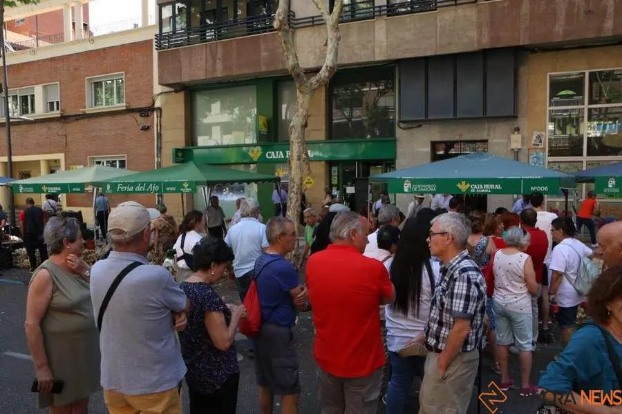 Feria del Ajo 2023_8