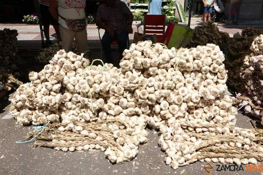 Feria del Ajo 2023_10