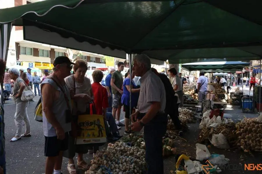 Feria del Ajo 2023_11