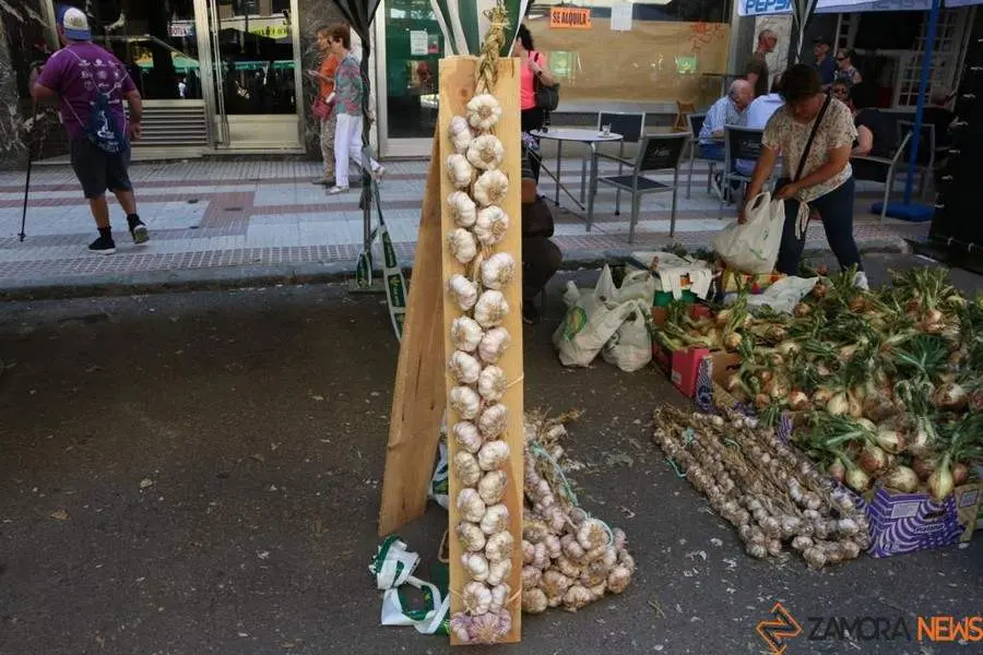 Feria del Ajo 2023_14