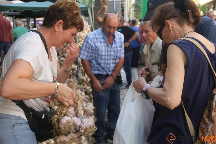 Feria del Ajoo 2023_2