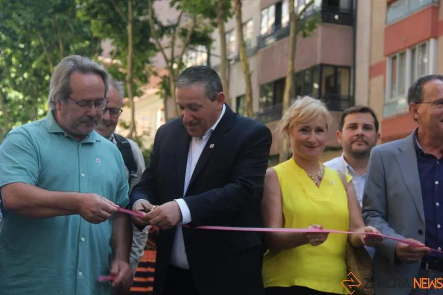 Feria del Ajoo 2023_4