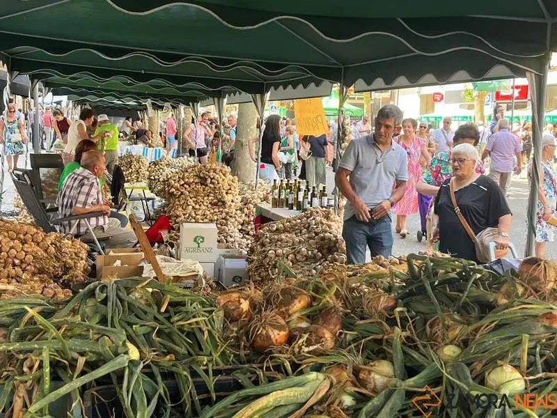 Feria del Ajo 2023_5