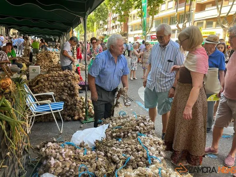 Feria del Ajo 2023_6