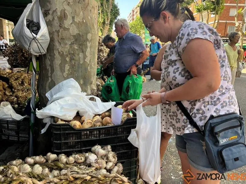 Feria del Ajo 2023_11