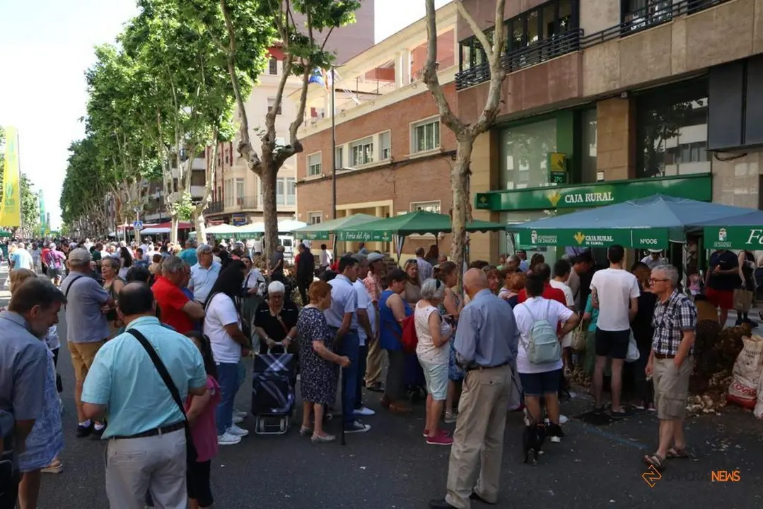 Feria del Ajo