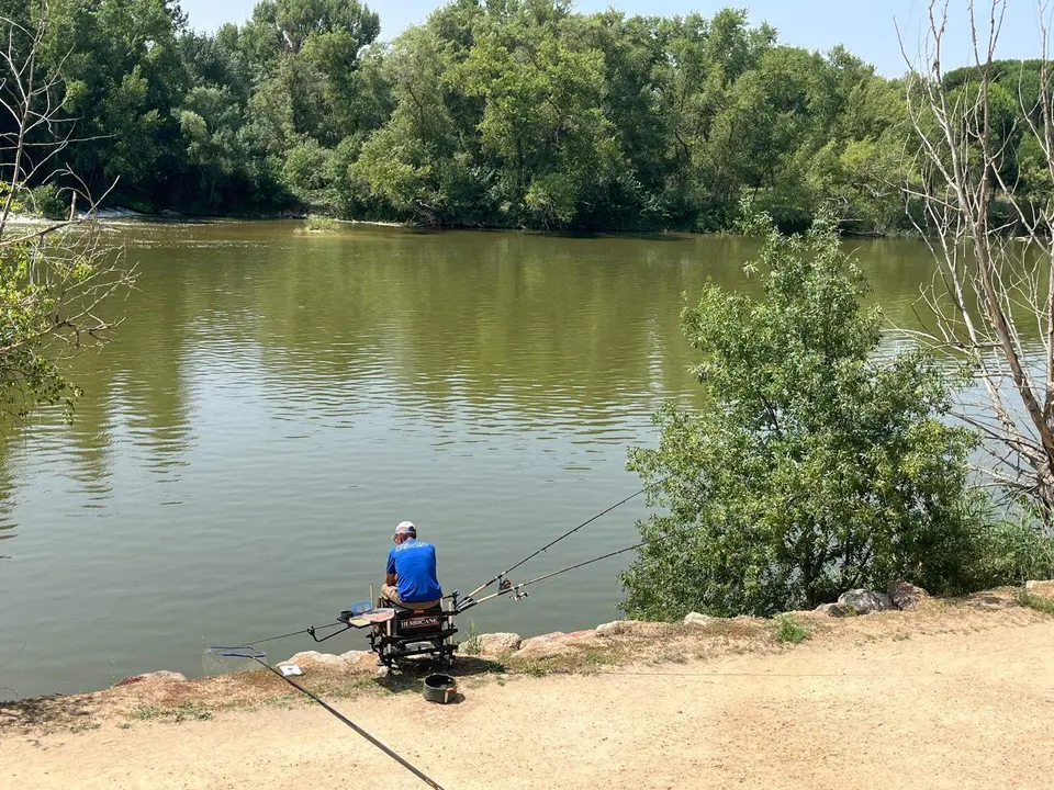 pesca