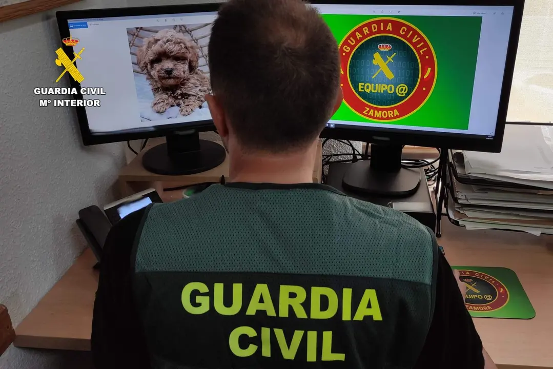 Guardia Civil investigación fraude. Fotografía: GC