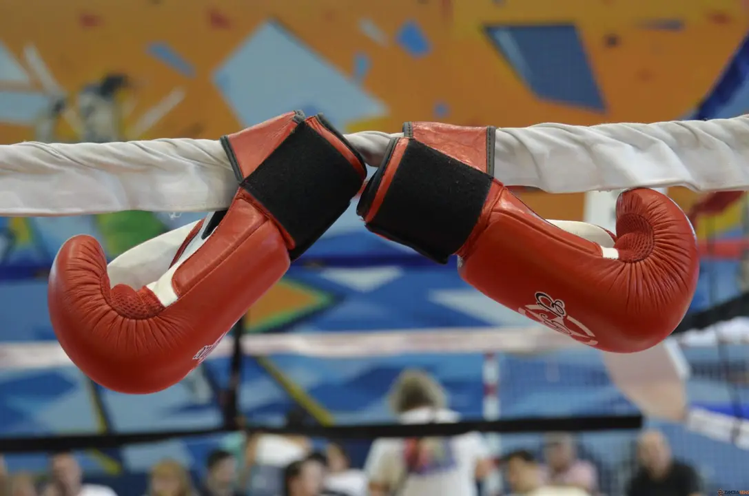 Velada de boxeo en Zamora