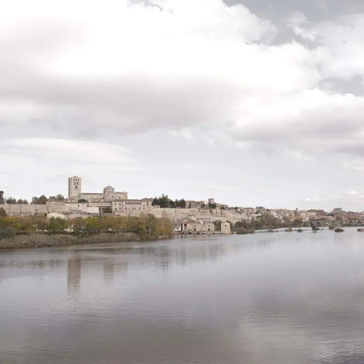 visita guiada Zamora