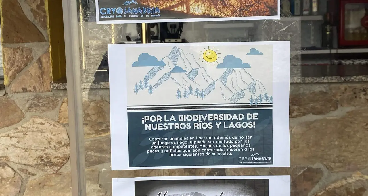 salvar peces