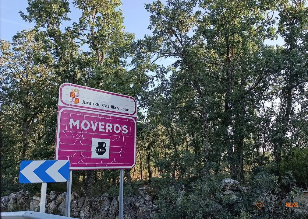 Cartel Moveros