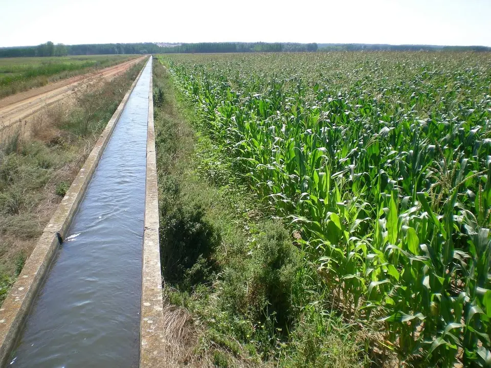 Canal del Esla. Fotografía: canaldelesla.es