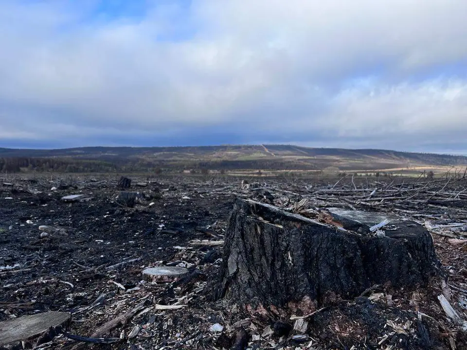 Imagen de la Sierra de la Culebra calcinada por los incendios. Imagen: Coordinadora Rural de Zamora
