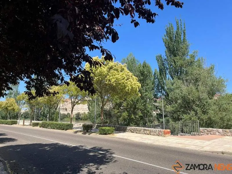 Cielo despejado en Zamora