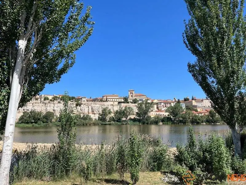 La Catedral de Zamora en un día soleado