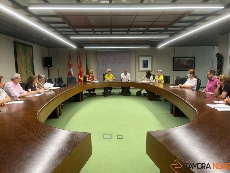 Consejo de Salud del Área de Zamora