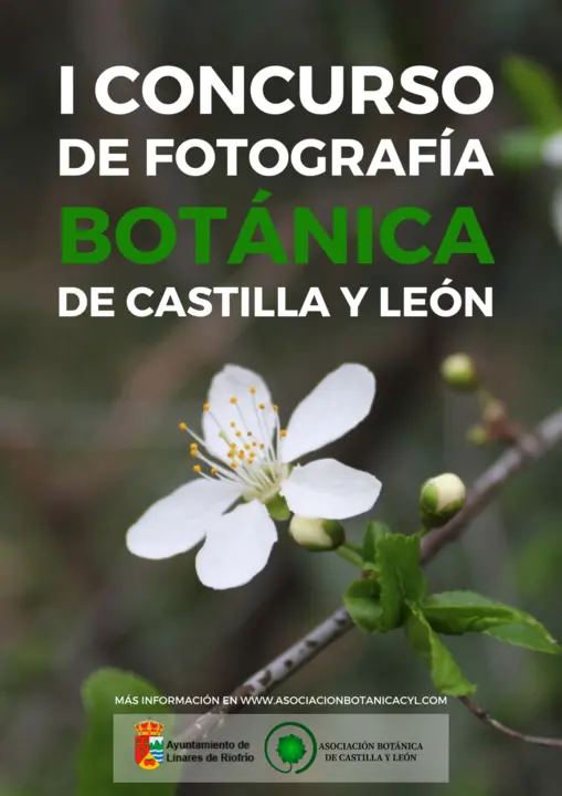 CARTEL CONCURSO FOTOGRAFÍA