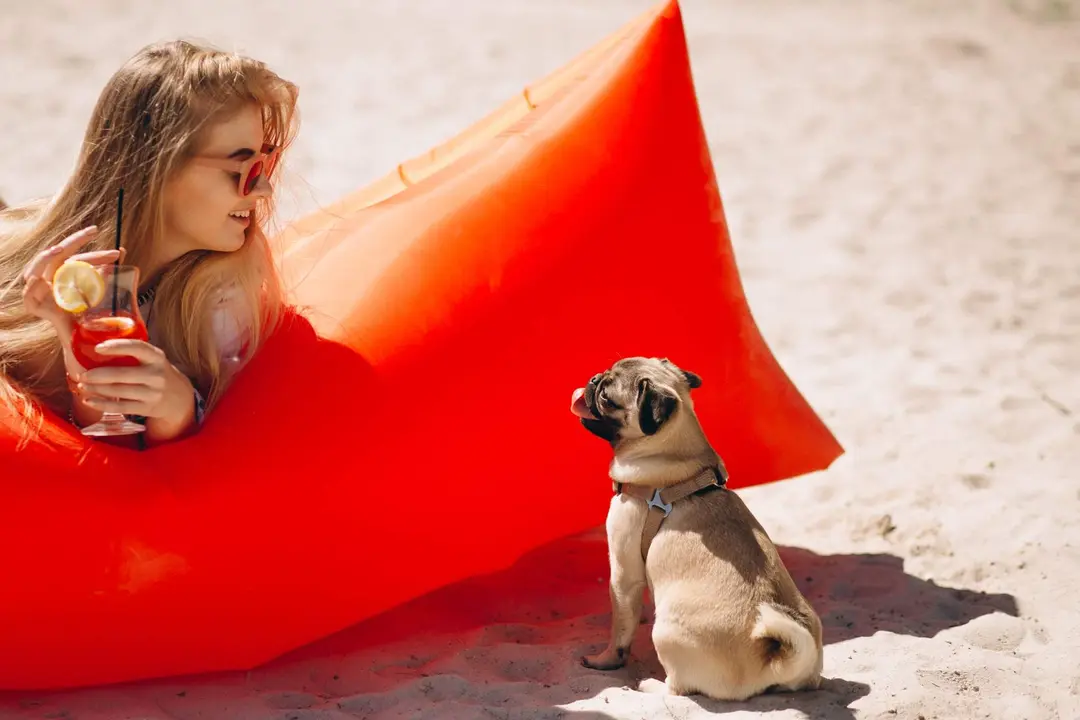 Mujer en la playa con su perro pug