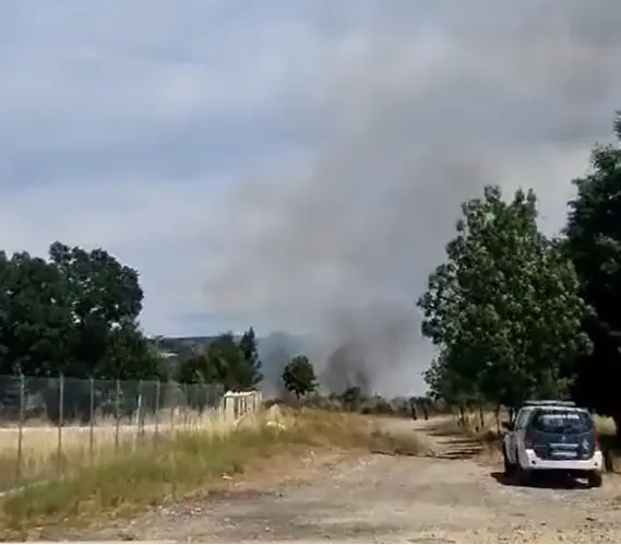 Fuego