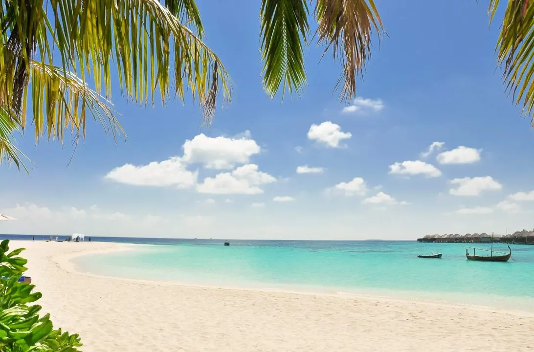ofertas de verano barceló