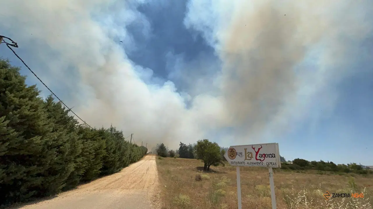 Incendio en Morales del Vino_2