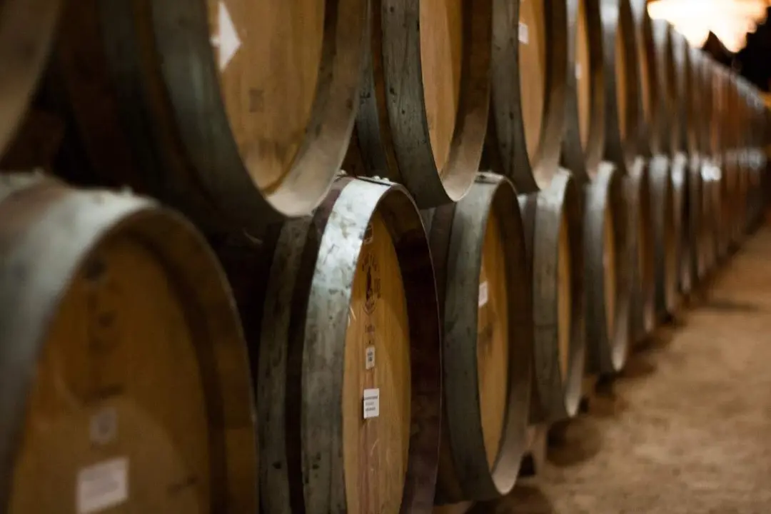 Fotografía de archivo bodega