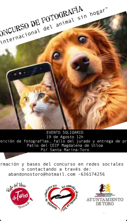 IV Concurso Fotográfico por el Día Internacional del Animal sin Hogar