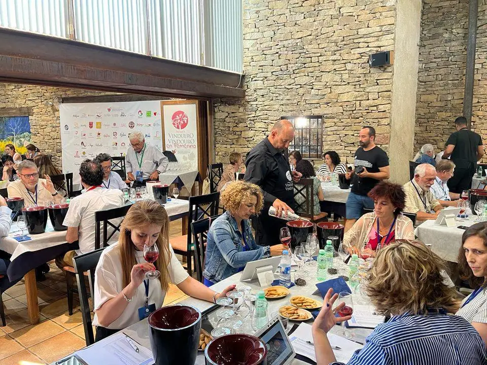 Catadores de la XIX edición de Premios VinDuero-VinDouro