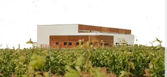Bodegas Hijos de Marcos Gómez