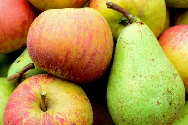 frutas-pepita