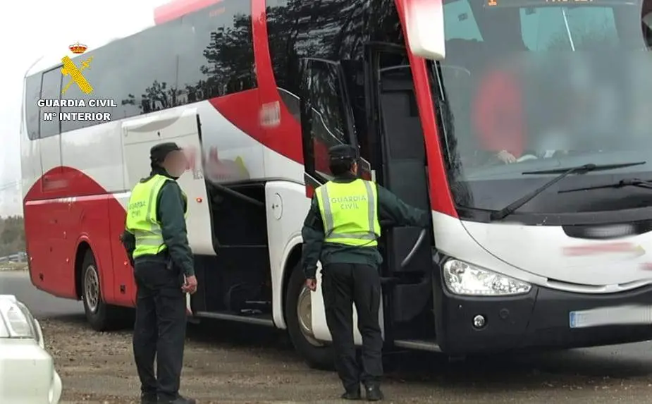 Operación contra el tráfico de drogas en Pereruela. Fotografía: Guardia Civil