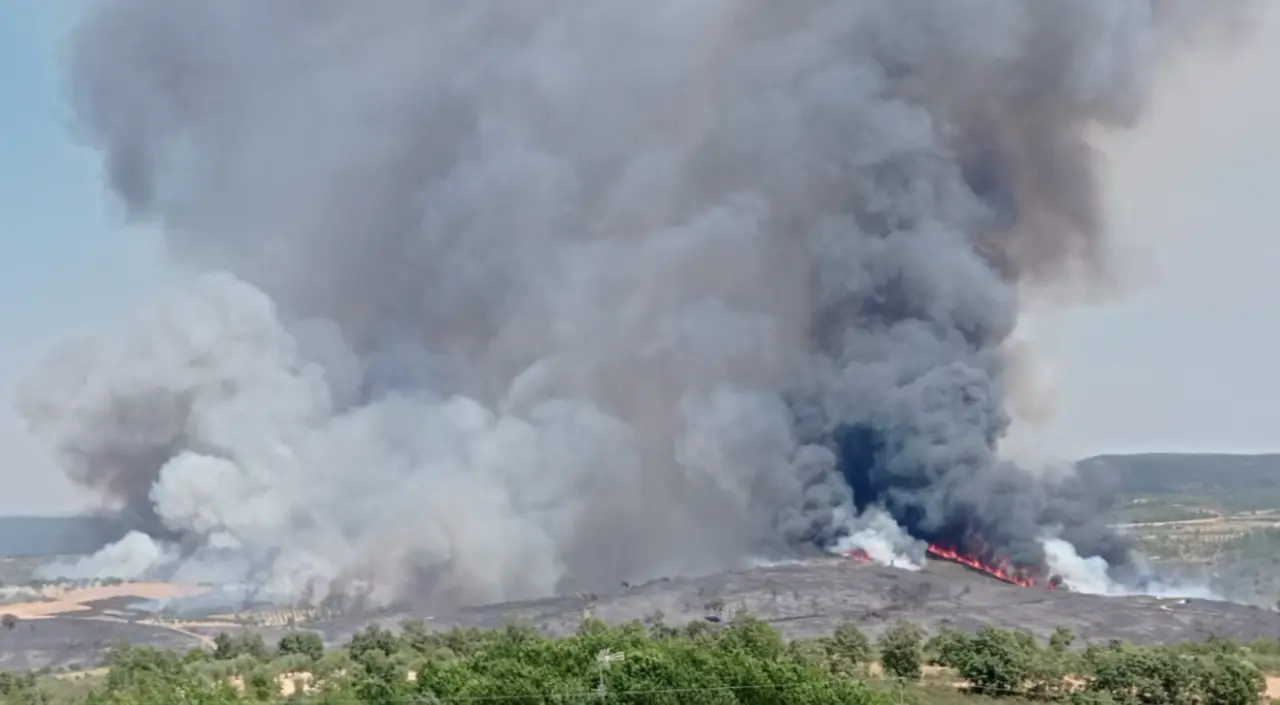 Fuego declarado en Argozelo, Portugal