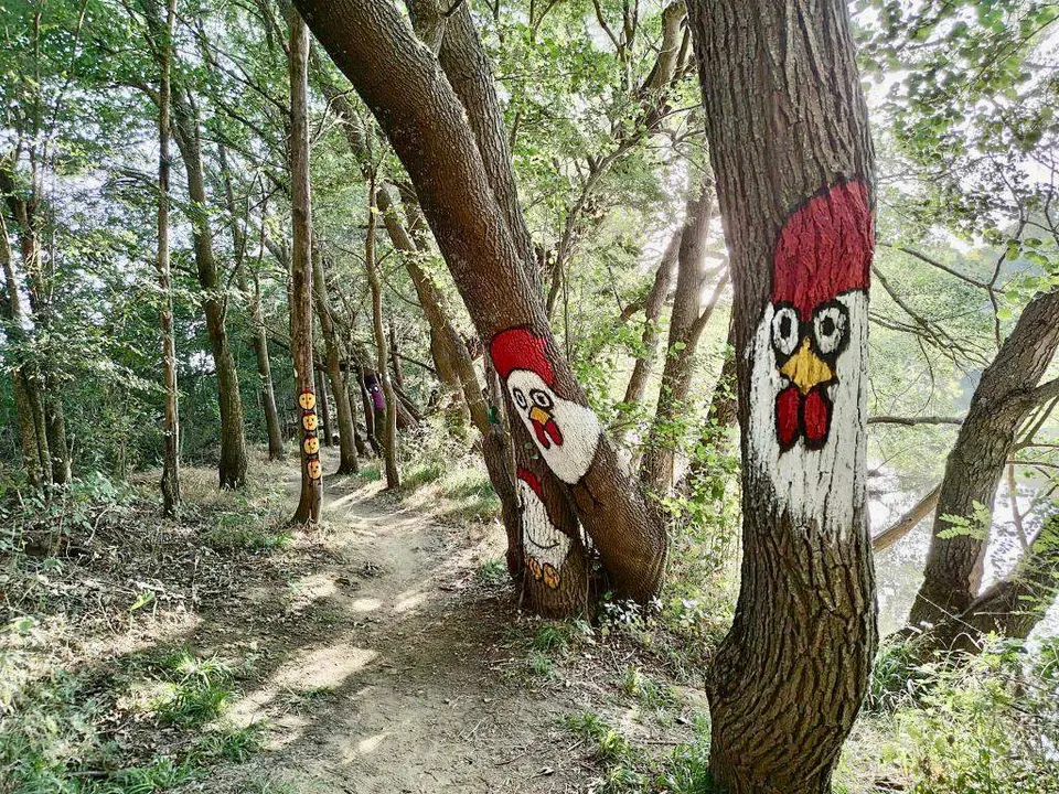 dibujos ruta