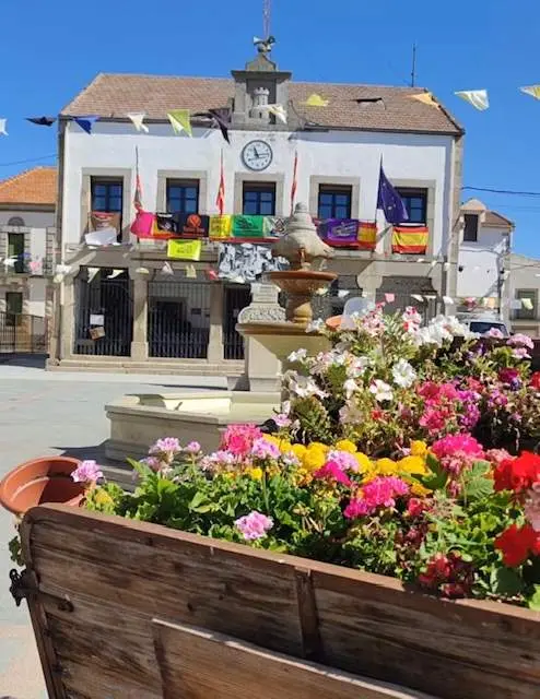 Bermillo de Sayago en fiestas
