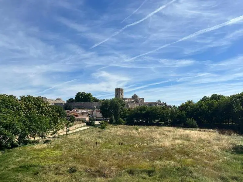 Día soleado con vistas a la Catedral de Zamora (1)
