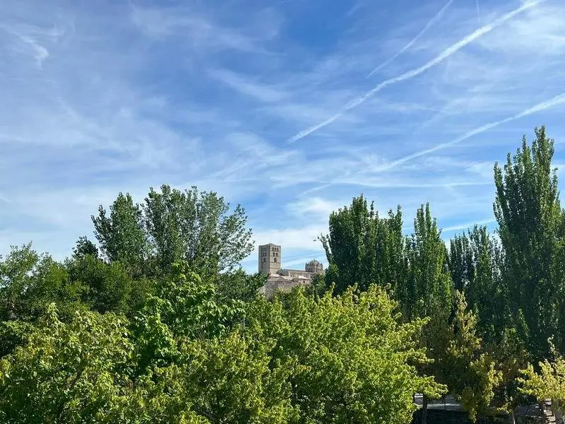 Día soleado con vistas a la Catedral de Zamora (4)