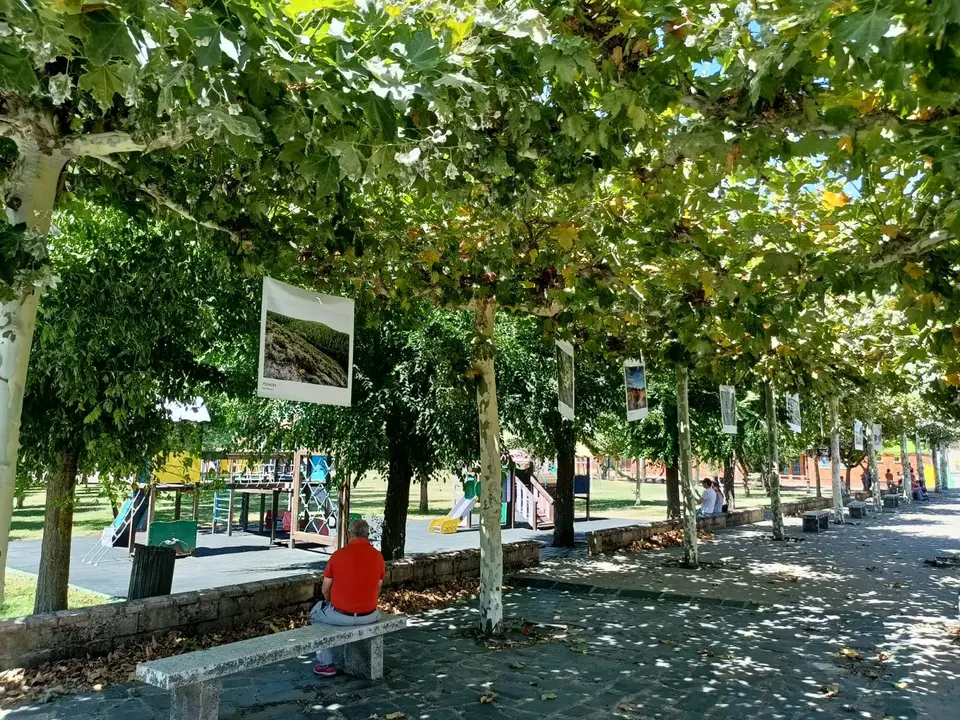 Riofrío de Aliste exposición