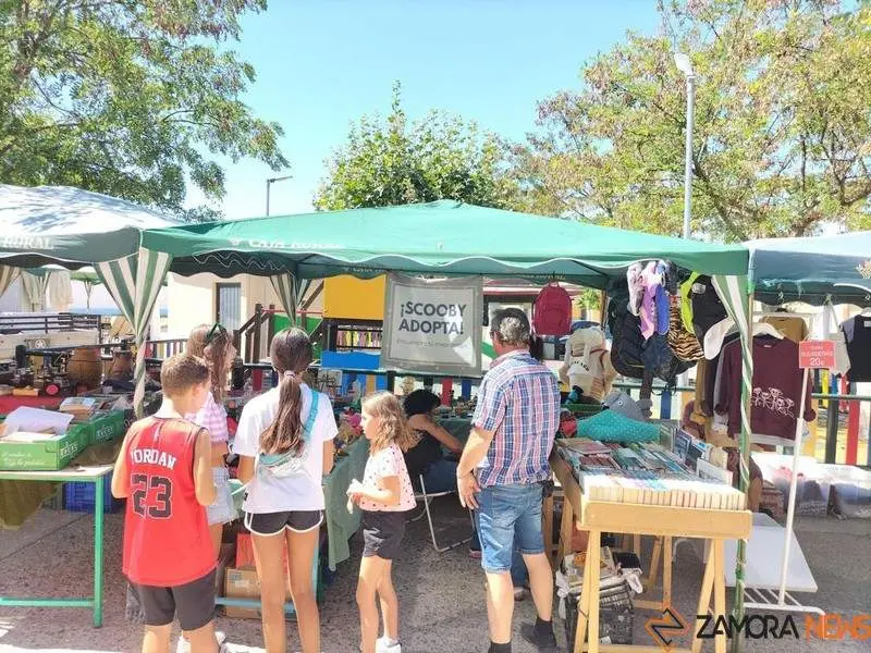 Mercadillo Valcabado _9