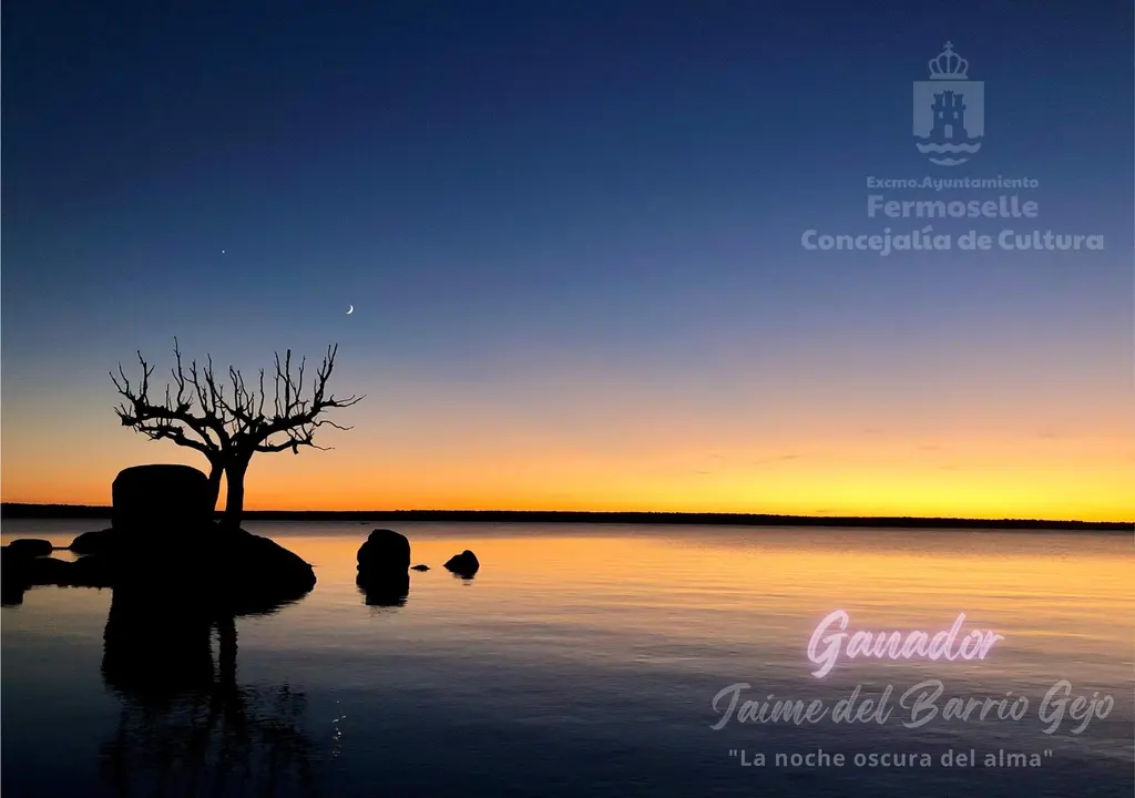 Imagen ganadora