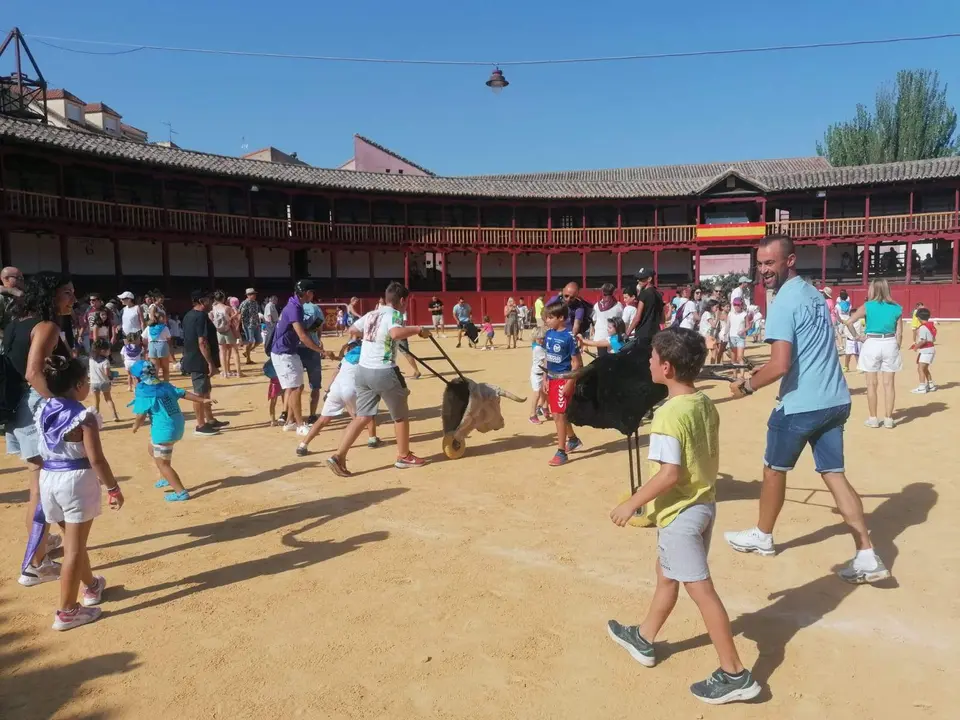 Día de los niños en Toro (10)