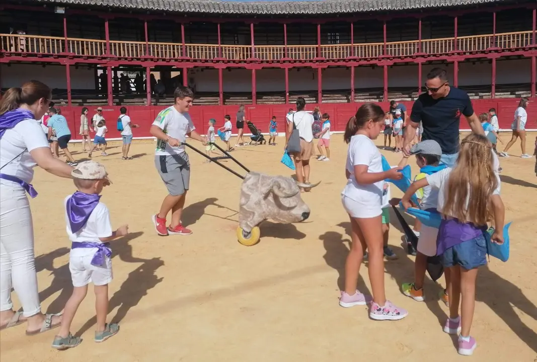 Día de los niños en Toro (11)