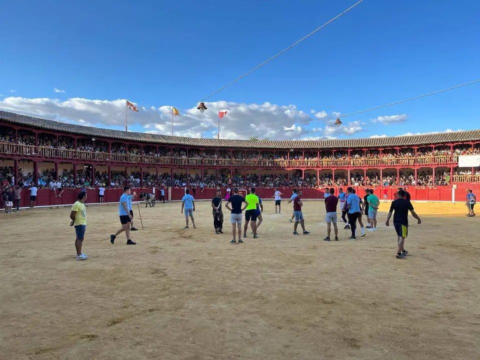 Toro