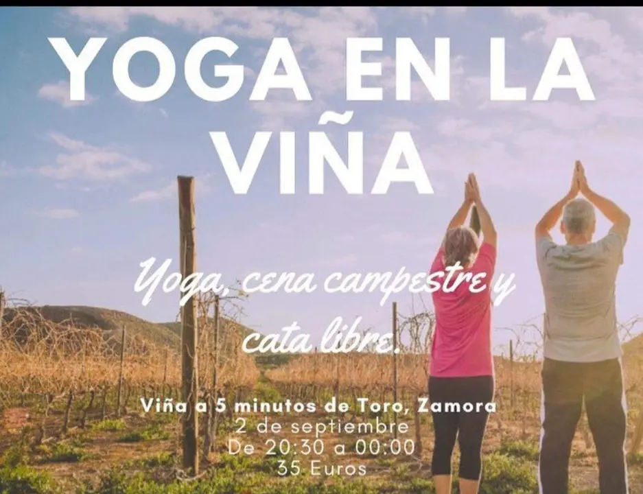Yoga en la Viña
